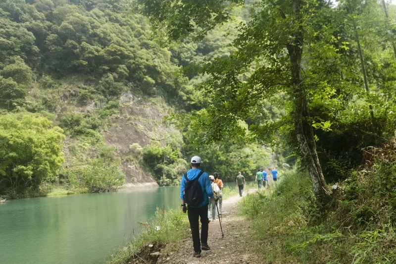 南宫集团(中国区)有限公司官网