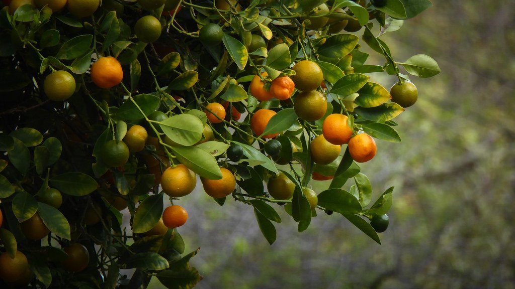 �Ϲ�����(�й���)���޹�˾����