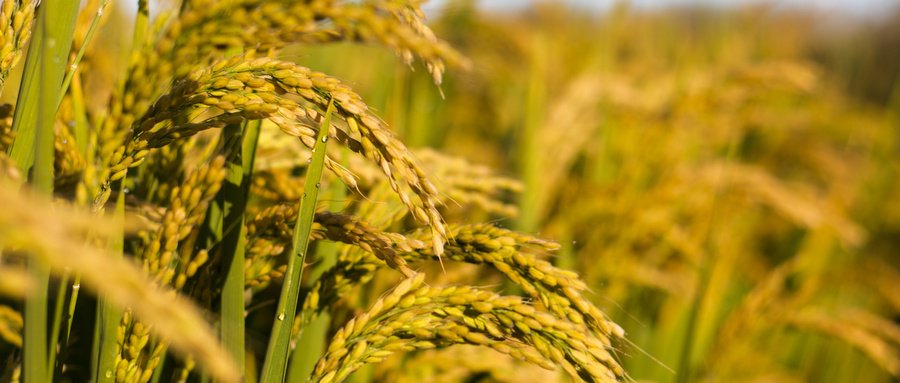 �Ϲ�����(�й���)���޹�˾����