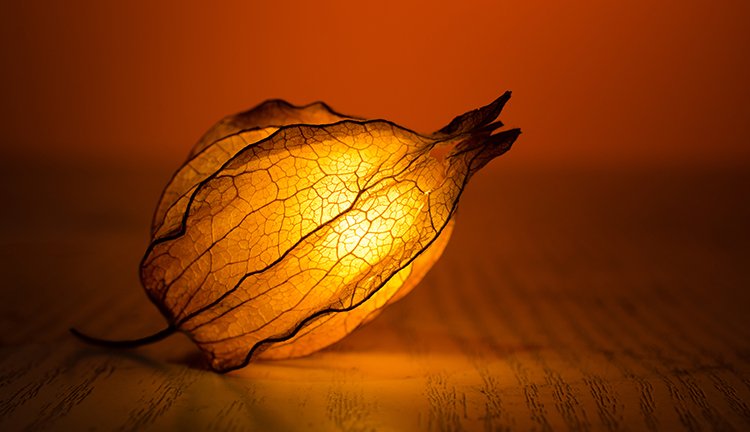 �Ϲ�����(�й���)���޹�˾����