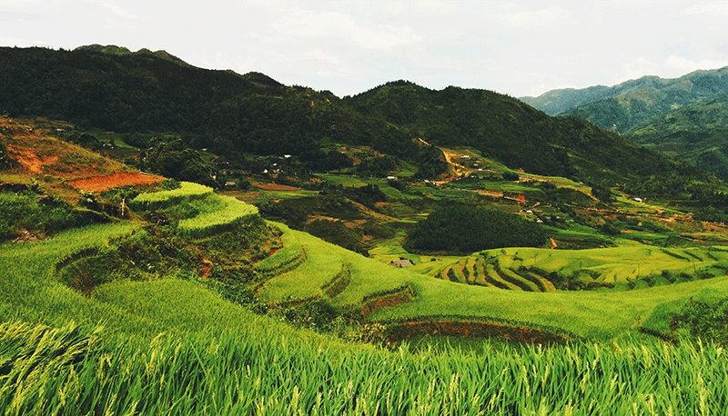 �Ϲ�����(�й���)���޹�˾����