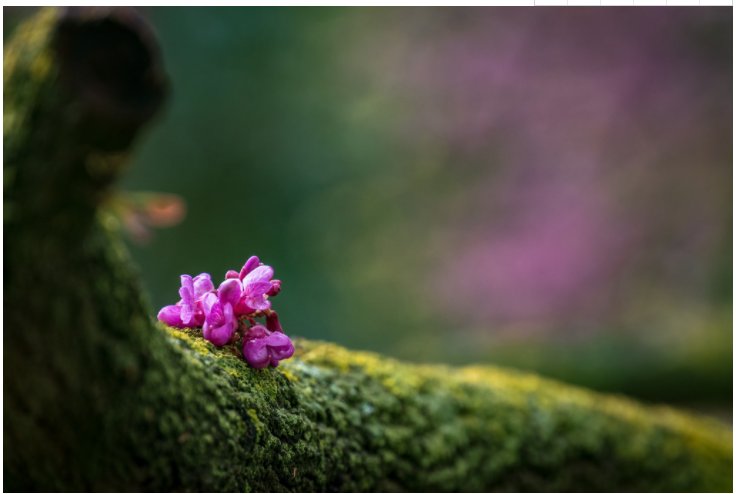 �Ϲ�����(�й���)���޹�˾����