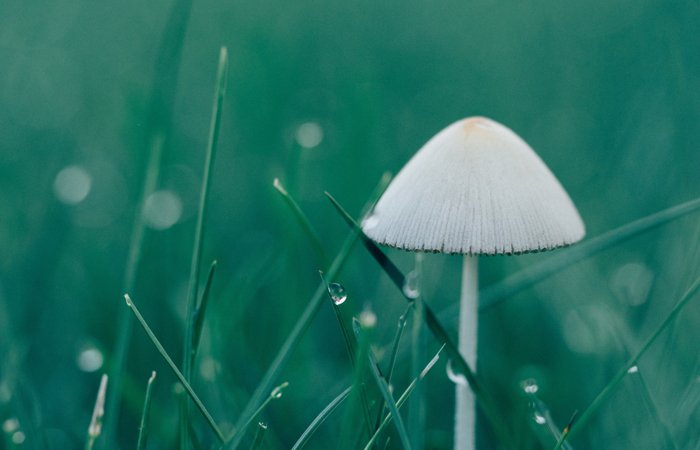 �Ϲ�����(�й���)���޹�˾����